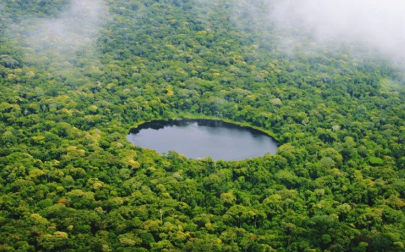 Salonga National Park, Central Congo Basin, DR Congo